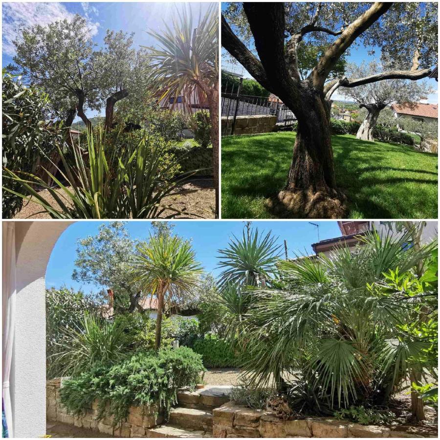 Manzano Salt & Sage Apartment מראה חיצוני תמונה