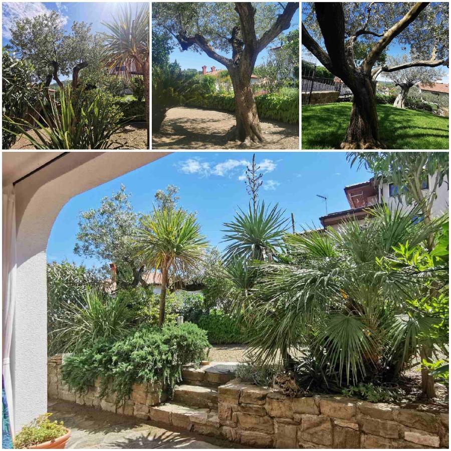 Manzano Salt & Sage Apartment מראה חיצוני תמונה